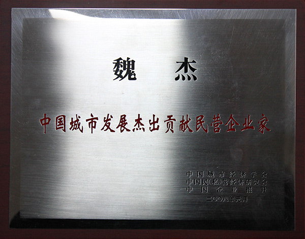 中國(guó)城市發(fā)展杰出貢獻(xiàn)民營(yíng)企業(yè)家